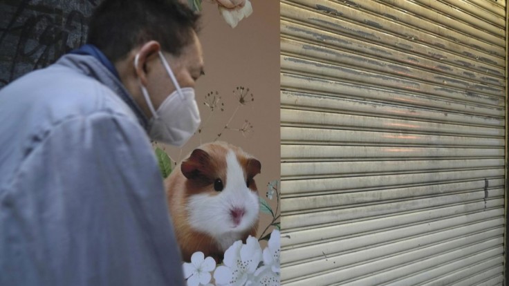 V Hongkongu sa začalo s usmrcovaním pozitívne testovaných zvierat, aktivisti bránia ich vydaniu