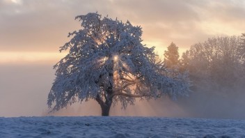 Meteorológovia varujú pred nízkymi teplotami na strednom a východnom Slovensku