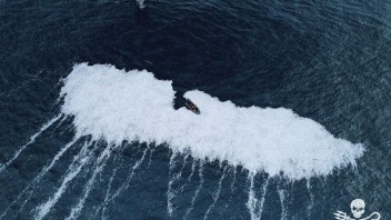 Nehoda alebo úmysel? Holandskí rybári vyhodili do vôd Atlantiku 100-tisíc mŕtvych rýb