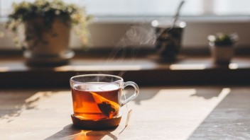 Použité vrecúška z čaju nevyhadzujte: Poslúžia vám na štípance od hmyzu aj ako hnojivo