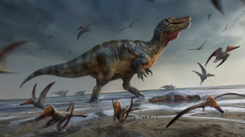 Veľjašter podobný krokodílovi. Objavili fosílie jedného z najväčších mäsožravých dinosaurov