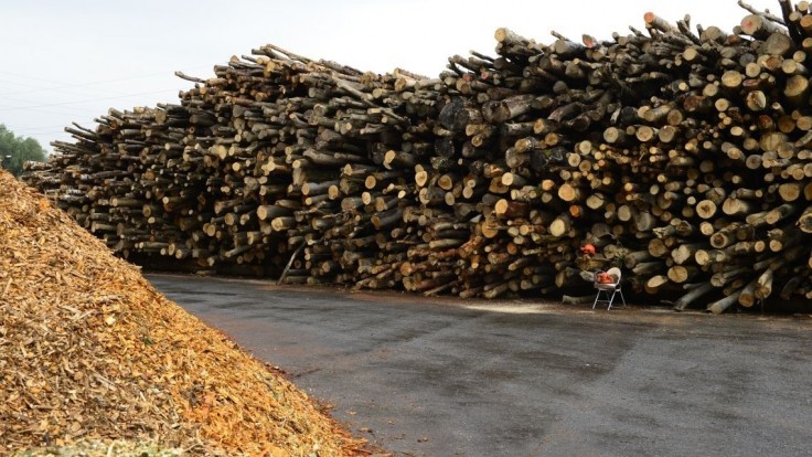 Ceny dreva v Česku prudko rastú. Ľudia sa zásobujú aj na desať zím