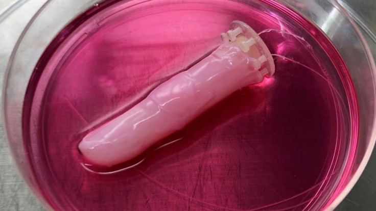 Vedci pokryli robotický prst kožou zo živých ľudských buniek