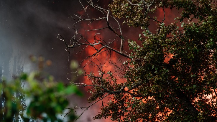 Grécko nasadilo na požiare aj vrtuľníky, obce v okolí Atén museli evakuovať