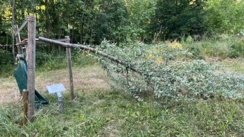 Neznámi páchatelia v Buchenwalde vyťali stromy pripomínajúce obete holokaustu