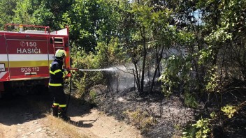 Pri Čekovciach zasahujú desiatky hasičov, od susediacich porastov začal horieť les