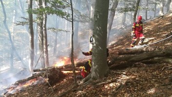 Hasenie lesného požiaru pri Košiciach pokračuje. Oheň sa však už prestal rozširovať