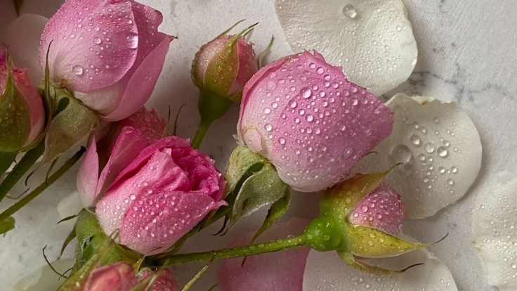 Krásna vďaka kráľovnej kvetov: Okrem ružovej vody vyskúšajte aj peeling či masku z ruží