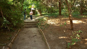 Z džungle znova raj. V Bratislave opäť otvorili Kochovu záhradu, poskytne únik pred horúčavami