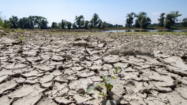 Zažívame najhoršie sucho za posledných päťsto rokov. V Európe ubúdajú základné plodiny