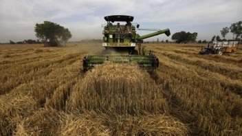 Cena pšenice klesá, analytici varujú pred oslabením dopytu