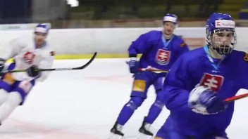 V tréningových kempoch v novom ročníku NHL sa predstavia dve desiatky Slovákov