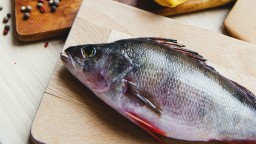 Zaručene bez kostí: Tipy na ryby, pri ktorých nebudete štedrú večeru operovať