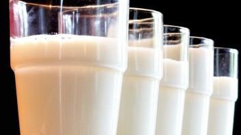 V Rusku sa začína predávať mlieko v kilogramoch. Má ísť o snahu zakryť zdražovanie