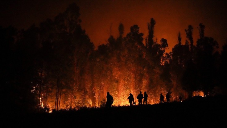 FOTO: Čile devastujú lesné požiare, zabili už najmenej 23 ľudí, medzi nimi aj požiarnikov
