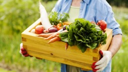 Diéta pre jarnú energiu: Tieto tri druhy zeleniny vás postavia na nohy