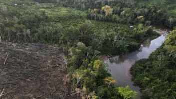 Pád lietadla v Amazonskom pralese mali prežiť štyri deti. Prezident svoje vyhlásenie odvolal