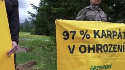 V dôsledku ťažby strácame karpatské lesy. Greenpeace protestuje pod Chopkom