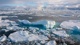 Arktický ľad sa roztopí o desaťročie skôr. Zmena ovplyvní počasie, ľudí aj celý ekosystém