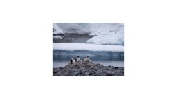 Fotogaléria: Antarktídu objavili masy turistov, odborníci bijú na poplach
