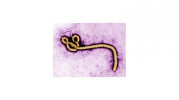 Libériu vyhlásili za oficiálne zbavenú eboly