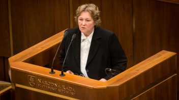 O ombudsmanovi sa rozhodne začiatkom roka, Dubovcová nekandiduje