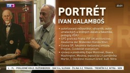 Portrét Ivana Galamboša