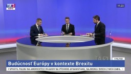 Budúcnosť Európy v kontexte brexitu / Predvolebné dianie očami politológa