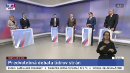 Diskusia v Téme dňa: Danko, Hlina, Sulík a Kollár