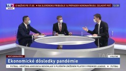 Slovenský zápas s nákazou Covid-19 / Parlamentné rokovanie o opatreniach / Ekonomické dôsledky pandémie