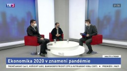 Ekonomika 2020 v znamení pandémie