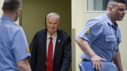 Padne konečný verdikt pre Mladiča. Chránil ho aj režim, hovorí odborník