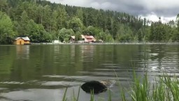 Spoznajte krásy jazera Úhorná a užite si čistý vzduch, panorámu či rybárčenie