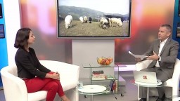 Návštevníci Jasnej mohli vidieť počas leta stádo valašských ovečiek, strážili ich špeciálne pastierske psy