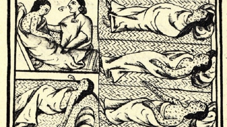florentinecodex-bk12-f54-smallpox_0a000002-0f93-a68e.jpg