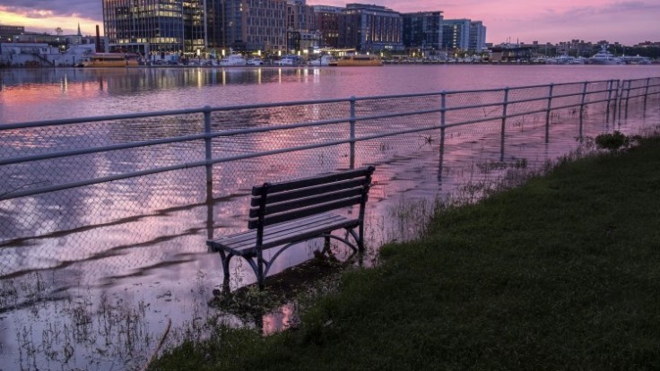 washington-weather-94252-dfb95bdcdbf9414f843e17e2940db1e5_7f000001-b7b3-f317.jpg