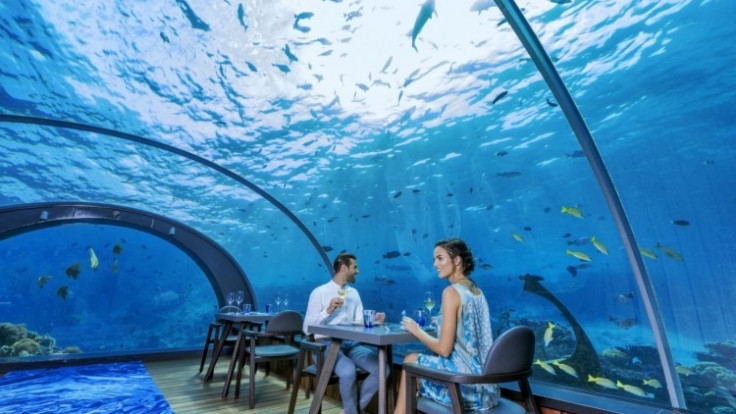 5-8undersearestaurant4-1600x1067_c0a80401-9b8b-84e4.jpg