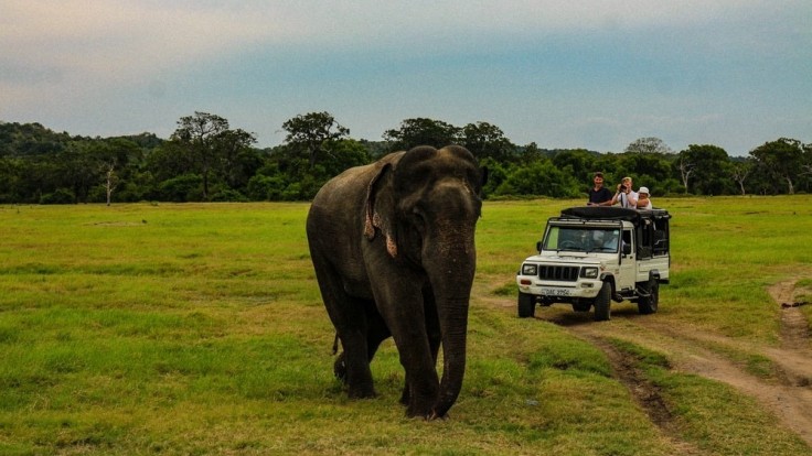 Safari na jeepoch.