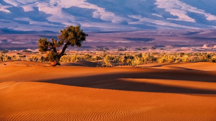 Sahara v Maroku.