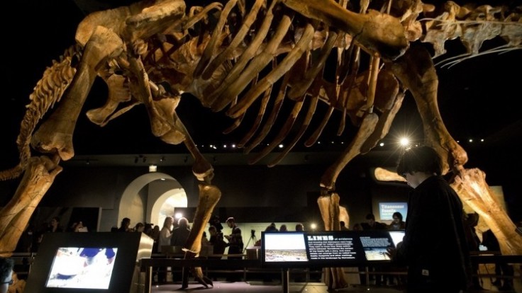 huge-dino-exhibition-7c35506af57d414aadea0670de61134c_0a000002-ea2f-c54a.jpeg