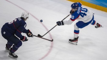 Zápas Slovenska s USA
