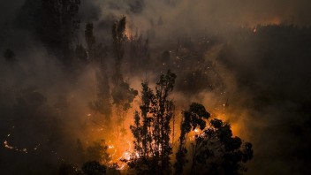 Lesné požiare v Čile