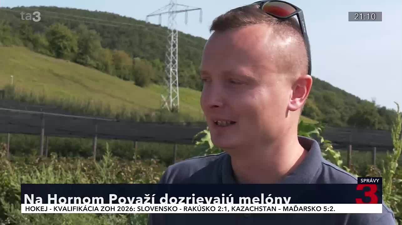 Pestovateľský risk priniesol sladké plody. Púchovské melóny sú sezónnou senzáciou